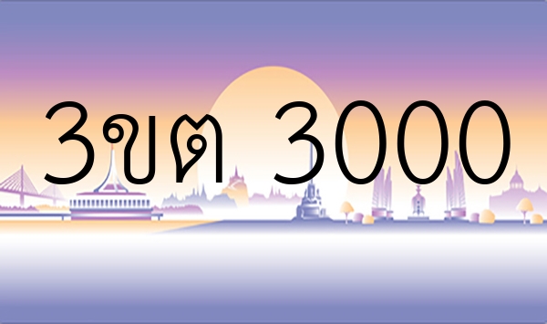 3ขต 3000